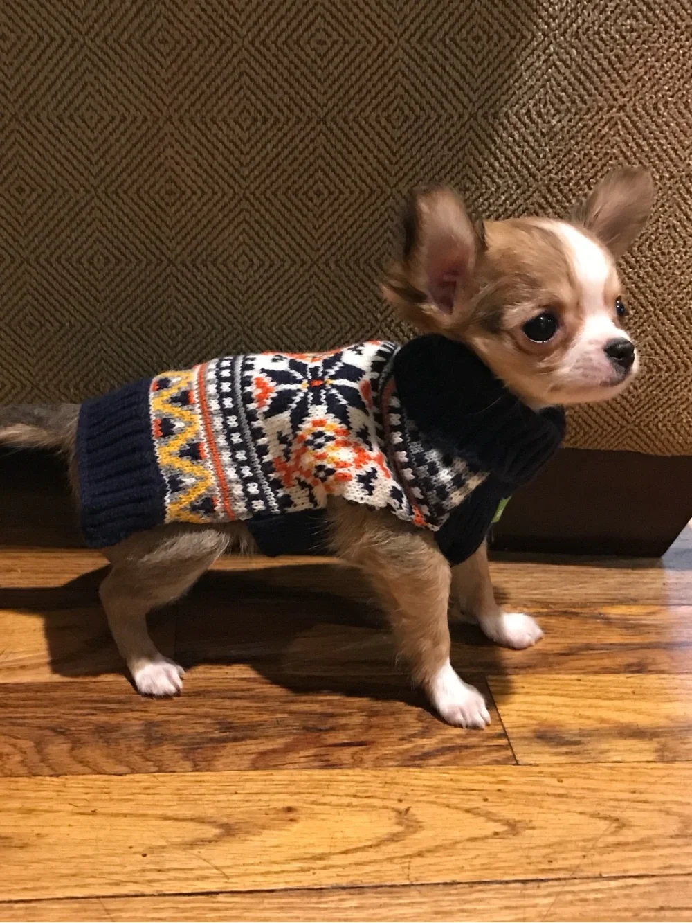 Classic Fair Isle Knit Dog Sweater - Navy, White & Orange